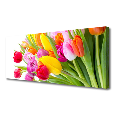 Cuadro en lienzo canvas Tulipanes flores planta