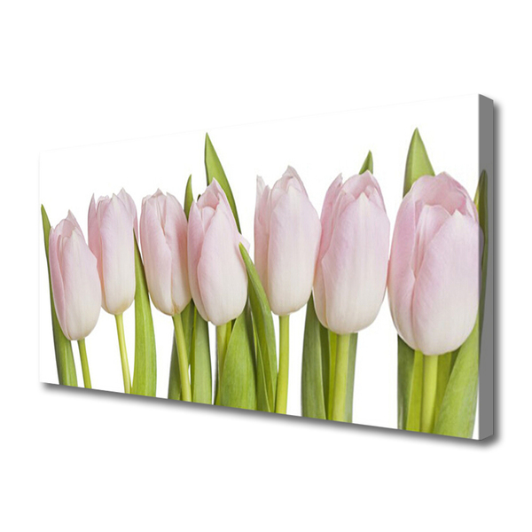 Cuadro en lienzo canvas Tulipanes flores planta