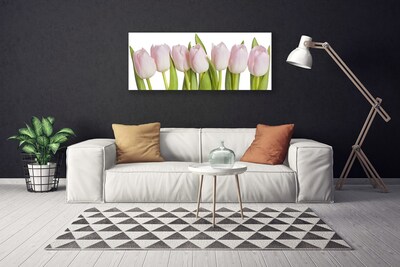 Cuadro en lienzo canvas Tulipanes flores planta