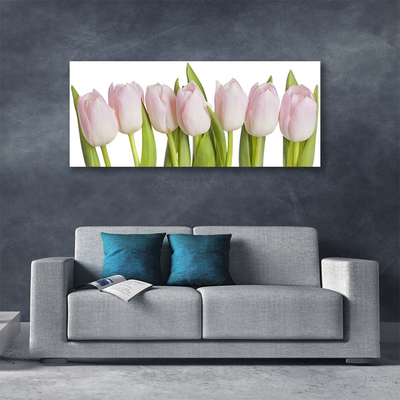 Cuadro en lienzo canvas Tulipanes flores planta