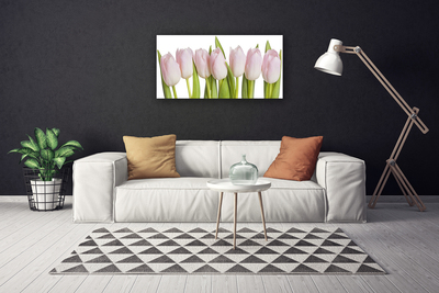 Cuadro en lienzo canvas Tulipanes flores planta