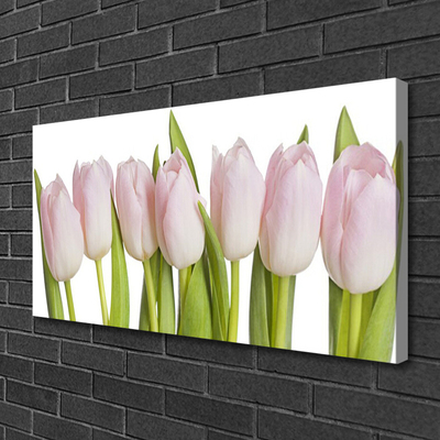 Cuadro en lienzo canvas Tulipanes flores planta