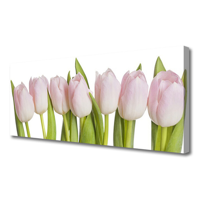 Cuadro en lienzo canvas Tulipanes flores planta