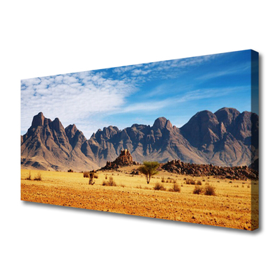 Cuadro en lienzo canvas Desierto monte paisaje