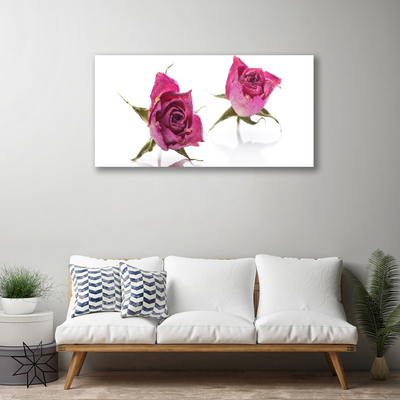 Cuadro en lienzo canvas Rosas flores planta