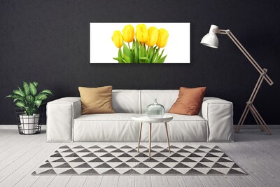 Cuadro en lienzo canvas Tulipanes flores planta