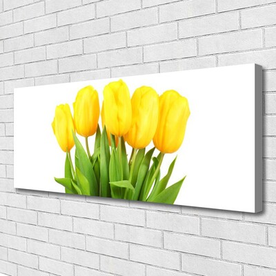 Cuadro en lienzo canvas Tulipanes flores planta