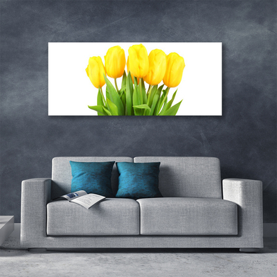 Cuadro en lienzo canvas Tulipanes flores planta