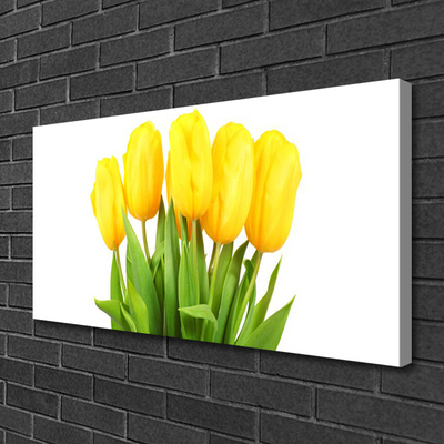 Cuadro en lienzo canvas Tulipanes flores planta