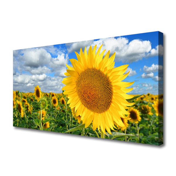 Cuadro en lienzo canvas Girasol flor planta