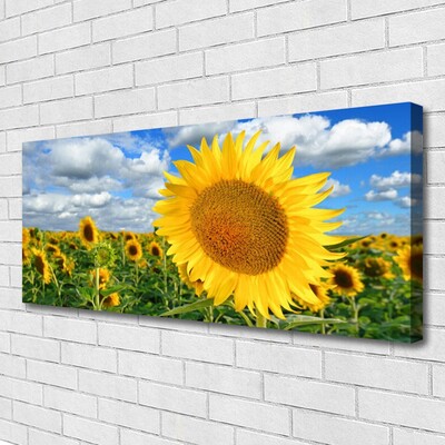 Cuadro en lienzo canvas Girasol flor planta