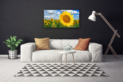 Cuadro en lienzo canvas Girasol flor planta