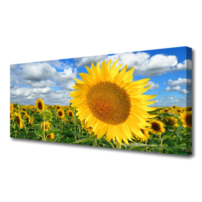 Cuadro en lienzo canvas Girasol flor planta