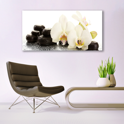 Cuadro en lienzo canvas Flor orquídea blanca