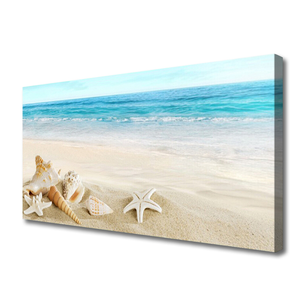 Cuadro en lienzo canvas Estrella de mar conchas