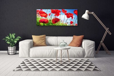 Cuadro en lienzo canvas Amapolas planta naturaleza