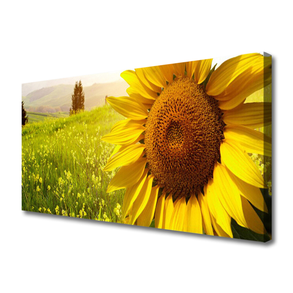 Cuadro en lienzo canvas Girasol flor planta