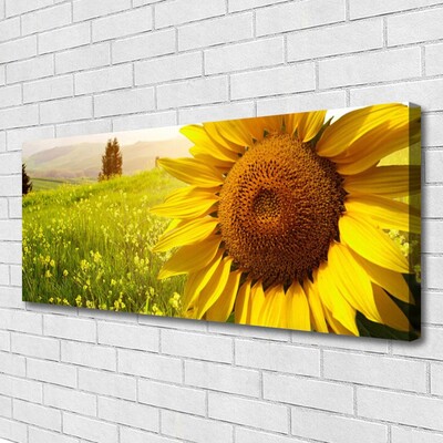 Cuadro en lienzo canvas Girasol flor planta