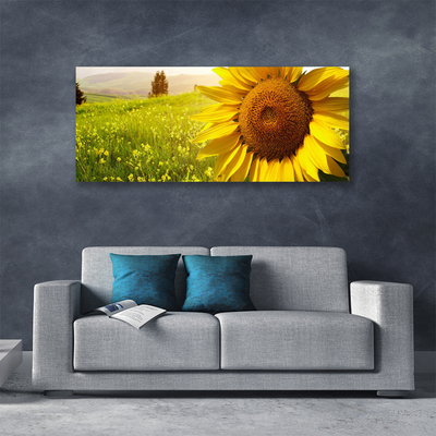 Cuadro en lienzo canvas Girasol flor planta