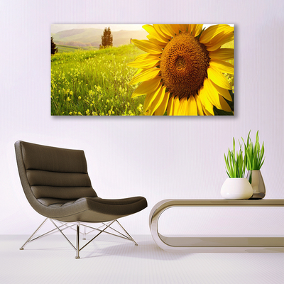 Cuadro en lienzo canvas Girasol flor planta