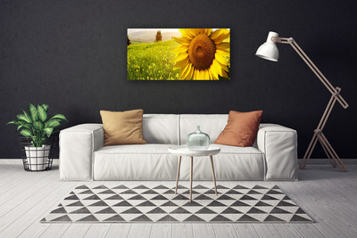 Cuadro en lienzo canvas Girasol flor planta