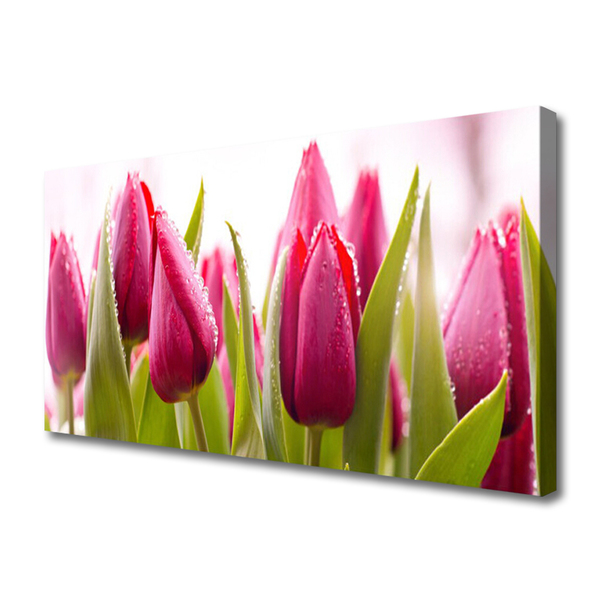 Cuadro en lienzo canvas Tulipanes flores planta