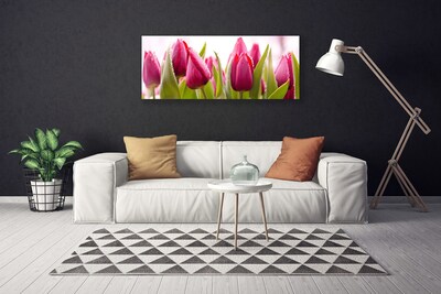 Cuadro en lienzo canvas Tulipanes flores planta