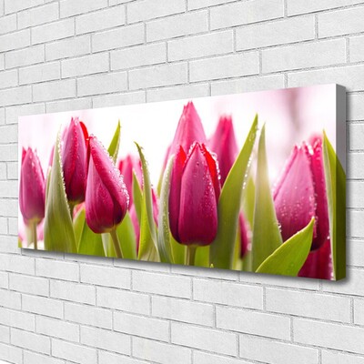 Cuadro en lienzo canvas Tulipanes flores planta