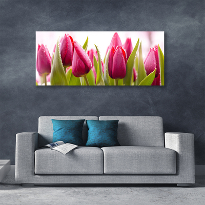 Cuadro en lienzo canvas Tulipanes flores planta