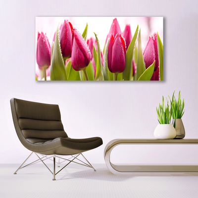 Cuadro en lienzo canvas Tulipanes flores planta