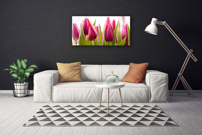 Cuadro en lienzo canvas Tulipanes flores planta