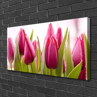 Cuadro en lienzo canvas Tulipanes flores planta