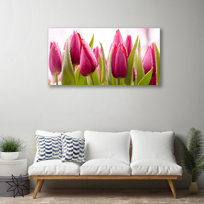 Cuadro en lienzo canvas Tulipanes flores planta