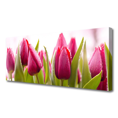 Cuadro en lienzo canvas Tulipanes flores planta