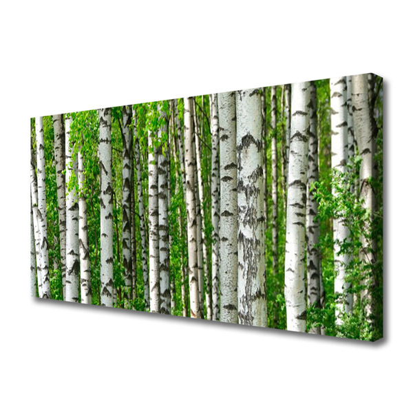 Cuadro en lienzo canvas Bosque planta naturaleza árboles