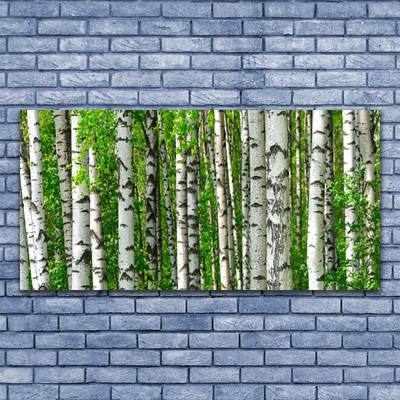Cuadro en lienzo canvas Bosque planta naturaleza árboles