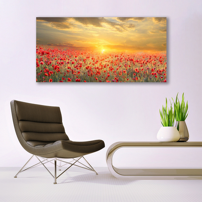 Cuadro en lienzo canvas Sol prado amapola flores