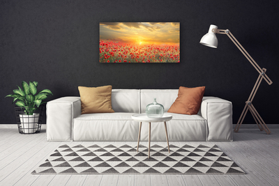 Cuadro en lienzo canvas Sol prado amapola flores