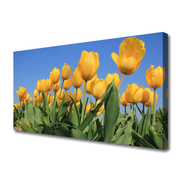 Cuadro en lienzo canvas Tulipanes flores planta