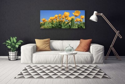 Cuadro en lienzo canvas Tulipanes flores planta