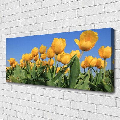 Cuadro en lienzo canvas Tulipanes flores planta