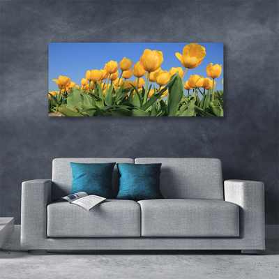 Cuadro en lienzo canvas Tulipanes flores planta