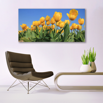 Cuadro en lienzo canvas Tulipanes flores planta