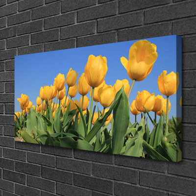 Cuadro en lienzo canvas Tulipanes flores planta