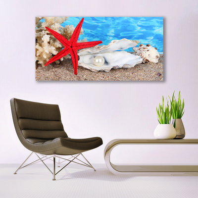 Cuadro en lienzo canvas Estrella de mar conchas naturaleza