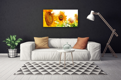 Cuadro en lienzo canvas Girasol flor planta