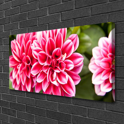 Cuadro en lienzo canvas Flores planta naturaleza