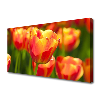 Cuadro en lienzo canvas Tulipanes flores planta