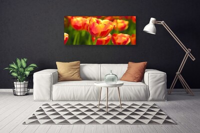 Cuadro en lienzo canvas Tulipanes flores planta