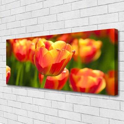 Cuadro en lienzo canvas Tulipanes flores planta